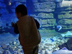 -江和美海洋公园