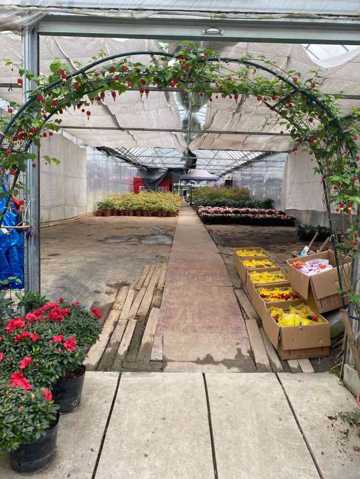 宁波花木世界-"装修临近尾声总觉得家里没有绿植少了些烟.