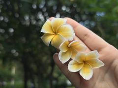-飞来湖湿地公园