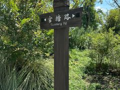 -广富林郊野公园
