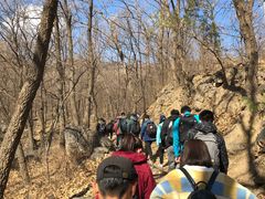 -阳台山自然风景区