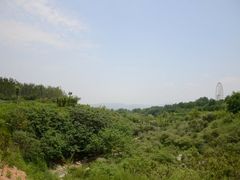 -济南植物园