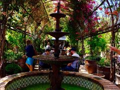 -The Grounds of Alexandria