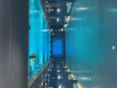 -丽思卡尔顿酒店泳池(金融街店)