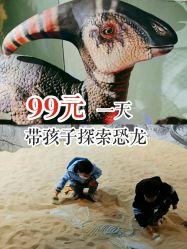-恐龙探索乐园(磁器口店)