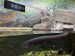 -成都浩海立方海洋公园