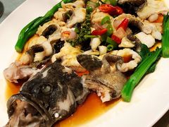 鲜花椒蒸老虎斑-Yan Ting 宴庭中餐厅(上海静安瑞吉酒店)