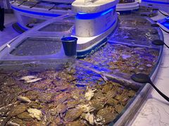 -澜悦港海鲜体验主题餐厅