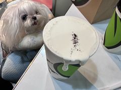 -813芭依珊 BAESAn(皇冠十畝地店)