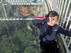 -丹东天桥沟景区