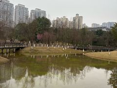 -沐仙湖湿地公园
