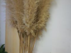 -茶庐(百花洲路店)