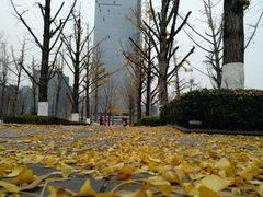 -两江幸福广场