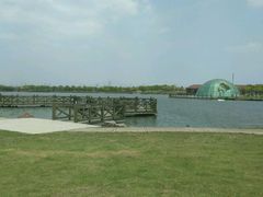 -上海都市菜园
