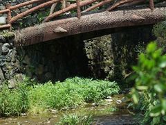 -藏龙百瀑风景区