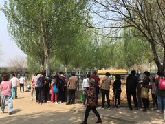 -长白岛森林公园