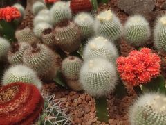 -南通洲际绿博园