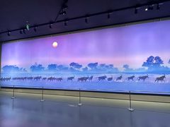 -罗红摄影艺术馆