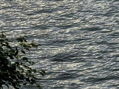 -紫金客家菜·石锅猪肚鸡(十年店)