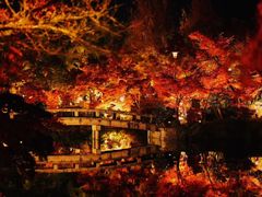 -遵化市禅林寺古银杏风景园