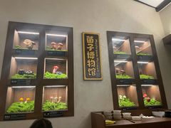 -菌自由丨野生菌火锅特色庭院餐厅(丽江古城店)