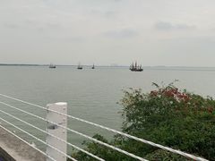 -贡湖湾湿地公园