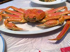 -东夷海鲜巨无霸(东夷小镇店)