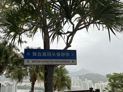 -鹿回头风景区