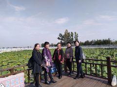 -全聚德(蓝山店)