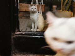 -彳亍咖啡·这里(水湾路店)