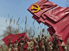 -泗洪洪泽湖湿地景区