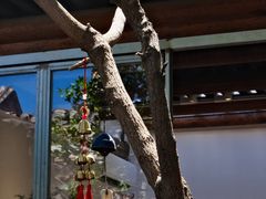 -VOYAGE COFFEE(杨梅竹店)
