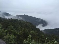 -玉苍山国家森林公园