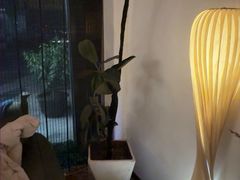 -布梵·台式热敷古法按摩Massage·Spa(品尊国际店)