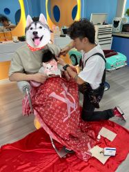 -呵林婴童亲子造型(新街口总店)