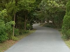 -日照海滨国家森林公园