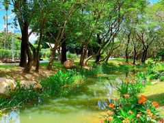 -人民公园(罗湖区)