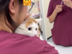 -美联众合爱康动物医院•复杂内科•肿瘤科•牙科•腔镜诊疗中心