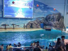 -福州罗源湾海洋世界旅游区