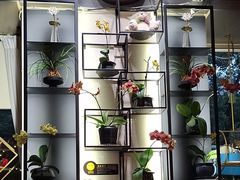 -街角 T·COFFEE 融合料理·BISTRO(车公庙店)