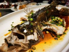 -金满楼(天河中路店)