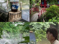 -井之头恩赐公园