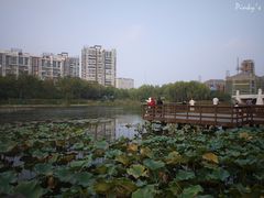 景点-新江湾城公园