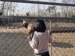 -宿豫区运河湾森林动物园