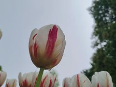 -南山植物园