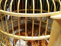 -蕃茄述·好汤自然来(江汉路店)