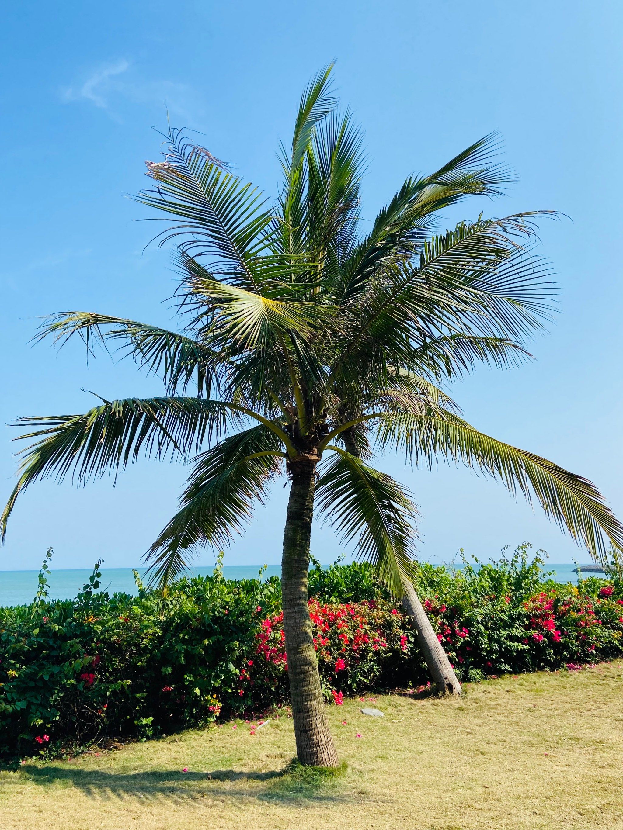 城市公园图鉴 | 享受海口西海岸的美