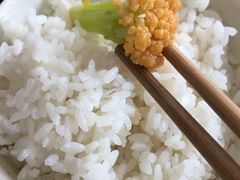 -郑州大学荷园二餐厅