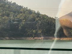 -田心森林公园