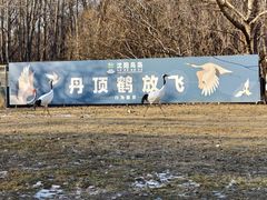 -沈阳鸟岛